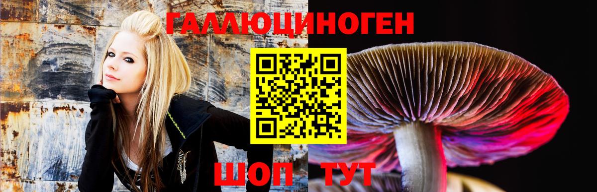 Галлюциногенные грибы Psilocybine cubensis  Вход с VPN  Псилоцибиновые грибы мицелий  Дзержинский 